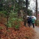 유달산둘레길 이미지