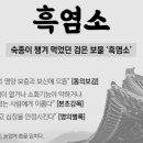 우수흑염소농장 이미지