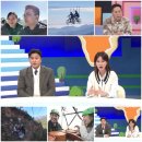 선카페 이미지
