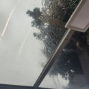 토끼네집으로오세요 | 토끼네집으로오세요 : 젊고 건강할 때 먹고 죽자