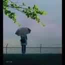 (주)아침 이미지