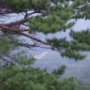 계곡사랑 이미지