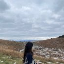 [제주도] 겨울 제주‘서쪽’ 당일치기 코스(제주렌트카 Tip/제레미커피/금오름/뚱보아저씨/카멜리아힐...
