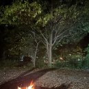 가평 가을 캠핑장 추천 | 리스캐빈, 옥천냉면
