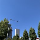 트리코드 투탑스짐 엔씨광주역점 | [일상 블로그 04] 상처를 치료해줄 사람 어디 없나