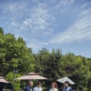 거미X환희 콘서트 이미지