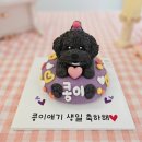 하운드광주하남 | 성남에서 강아지케이크 제일 잘 하는 곳? 댕빵소🐶🎂 [분당강아지케이크, 위례강아지케이크, 강아지케이크...