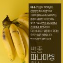 초콜릿커피 이미지