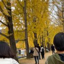 농산물직판장 | [충북괴산] 문광저수지 방문기 🍁 가을 단풍명소 직접 다녀왔어요