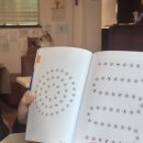 새미다방 이미지