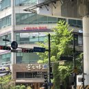 윤's 카츠