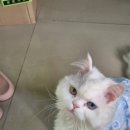 그루밍, 안나 | 25.05 넷째주 일상