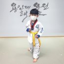 용인대용전태권도 이미지
