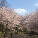 김해봉황동유적관광안내소 이미지