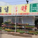 대일팜 이미지