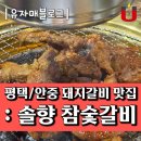안중 돼지갈비 맛집 : 솔향참숯갈비