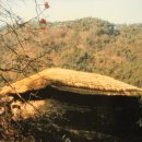 고향초가집 이미지