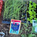 초월농장(2) 이미지