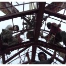 피그빌 2 이미지