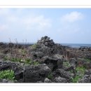 빌렛동산 이미지