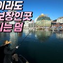 옥포낚시