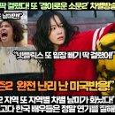 “넷플릭스 ‘위쳐3’ 1위 밀기 딱 걸렸다! 또 ‘경이로운 소문2’ 차별방송” 이미지