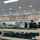 날샘푸드 이미지