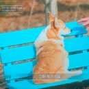 김준헌 농장 네이버블로그