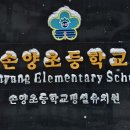 손양초등학교 이미지