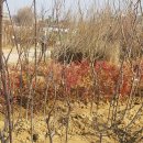 나무와숲한의원 이미지