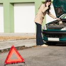 뼈연구소 이미지