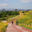 금강변길 이미지