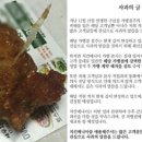 치킨메니아 이미지