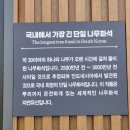 예술조형물2(소사대 | 경기도 가볼만한곳 포천 가볼만한곳 - 예술정원1999 자연예술테마파크 서울 근교 갈만한곳 주말 데이트...