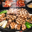 닭의한수 이미지