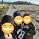 세도 다근진나루 및 구경정 | 시골생활 ] 10월 마지막 주. 지인들과 향토문화유산 135호 세도 다근진 나루 및 구경정에 다녀왔다.