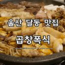 트레비브로이주 | 울산 달동 맛집 곱창 무한리필 곱창폭식 하실분~