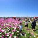 구리시립체육관 | 제7회 구리시 코스모스 축제 OPEN 배드민턴대회 일정 참가 자격 알아보기
