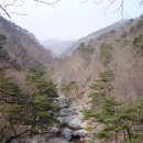 다산초등학교 이미지