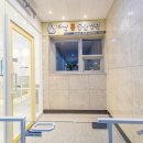 다산 봄 동물병원 이미지