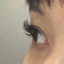 이미호아이래쉬 연산점 👍 10년 만에 속눈썹 연장해 본 후기