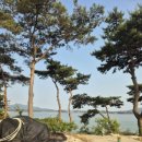 페리카나원북점 이미지