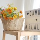 라탄공예 이미지