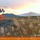삼다마트 - 제주시 동광로19길 9 | 삼다마트