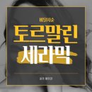 비달살롱 | 비달사순 토르말린 세라믹 이온 스타일러로 집에서도 전문가처럼 스타일링하는 법