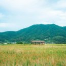 순천만 우리 이미지