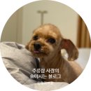내돈내먹! 고고치킨 본점 왕십리 뉴타운 후기