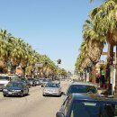 팜스프링스 이미지