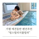 멍스빌리지풀빌라2 | 가평 멍스빌리지풀빌라 - 애견동반 펜션 아이랑 가평여행