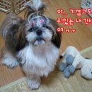 둥이PC 이미지